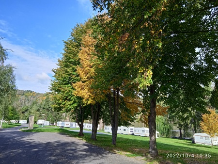 IMG_20221004_103559